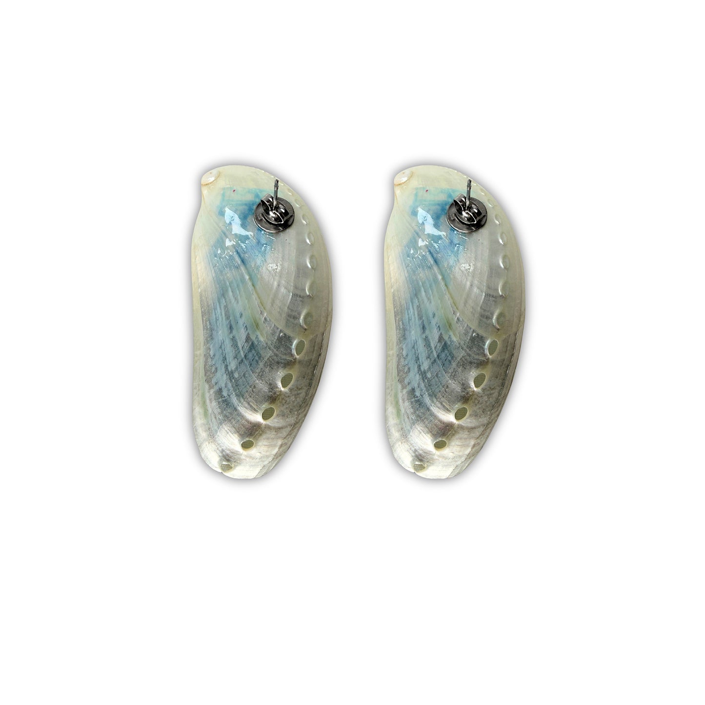 Siren's Gaze Abalone Earrings | Blue